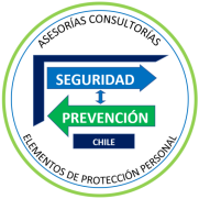 seguridadyprevencionchile.cl
